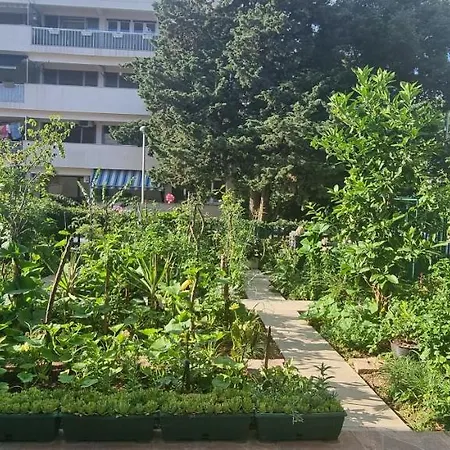 4 Seasons - Under Forest Park, Free Parking アパート スプリト